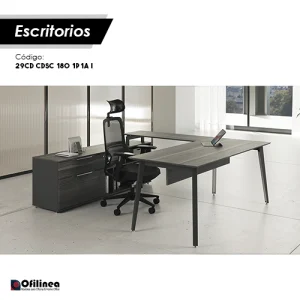 Conjunto Directivo