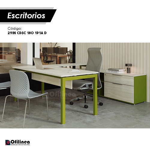 Conjunto Directivo